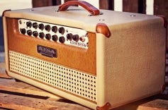 Lonestar Vanilla Taurus Head